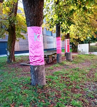 Rožnati oktober (10)